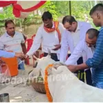 Chilh Animal health camp fair was organized on Tuesday