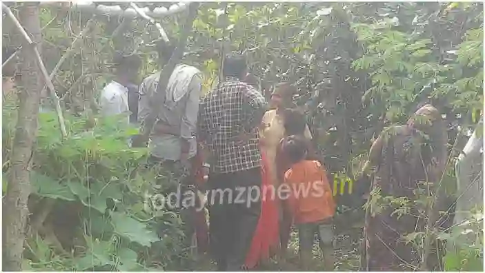 Madihaan Body of a female laborer found hanging from a tree