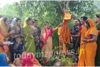 Sonbhadra Akshaya Navami festival was celebrated by worshipping the Amla tree