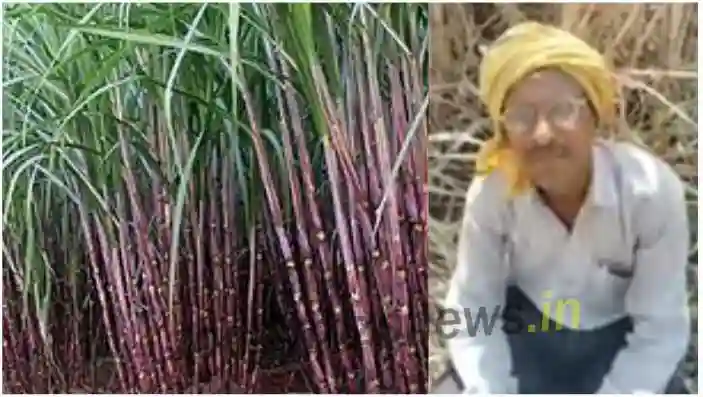 Sugarcane farmer's complaint in Mirzapur