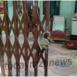 Rajgarh Once again thieves committed a major incident